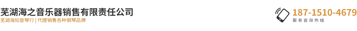 蕪湖海之音樂器銷售有限責(zé)任公司